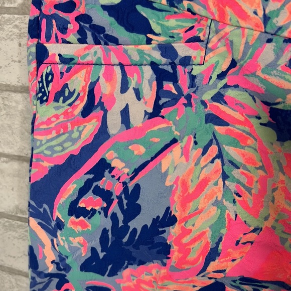 Lilly Pulitzer Kelly skinny ankle pants  pants size 6 - Picture 5 of 10